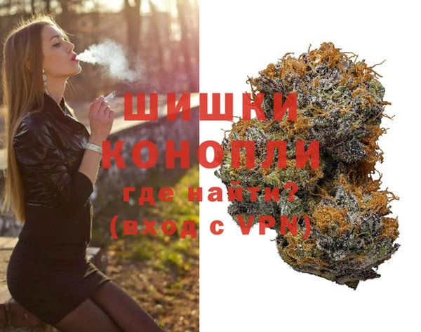 PSILOCYBIN Балахна