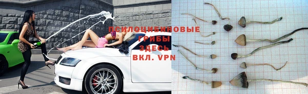 ешки Баксан