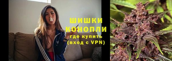 PSILOCYBIN Балахна